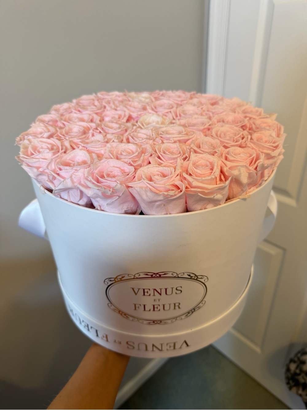 Venus Et Fleur baby pink roses circle white box